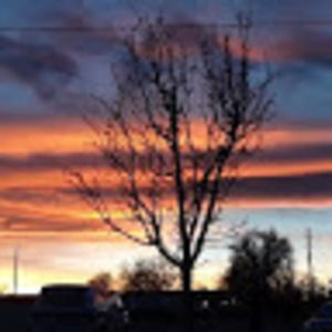 Meet your Posher, Theresa